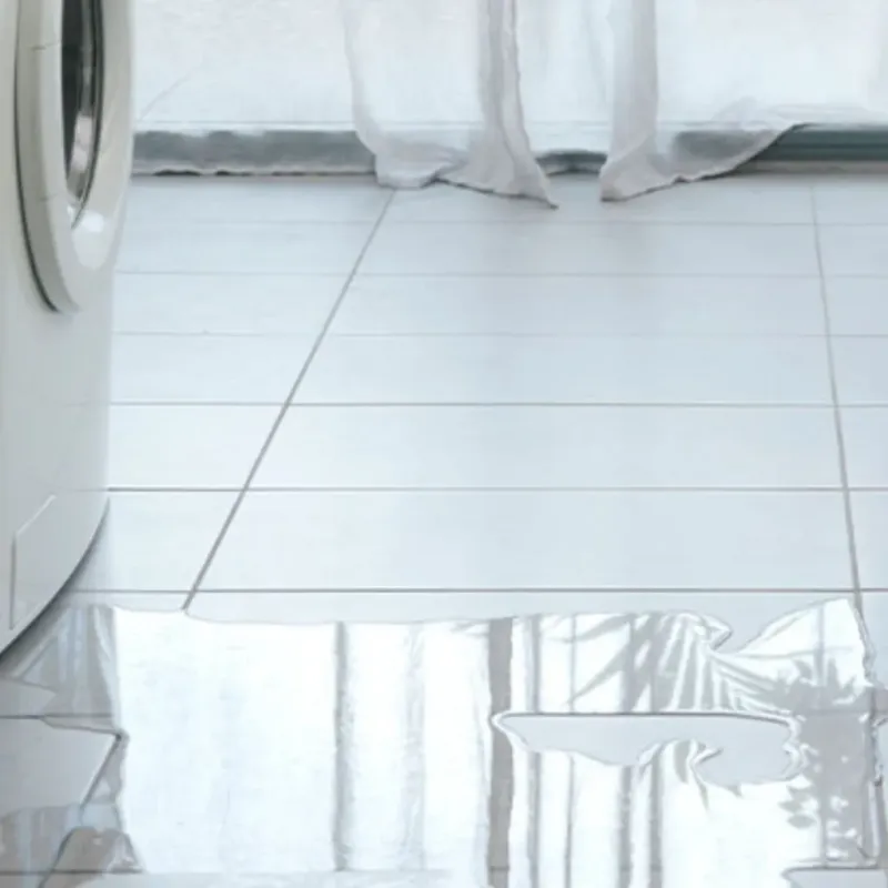 Appliance Leak Cleanup in Ouachita County, AR