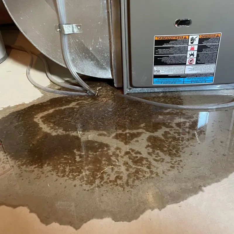Pipe Burst and Leak Restoration in Ouachita County, AR